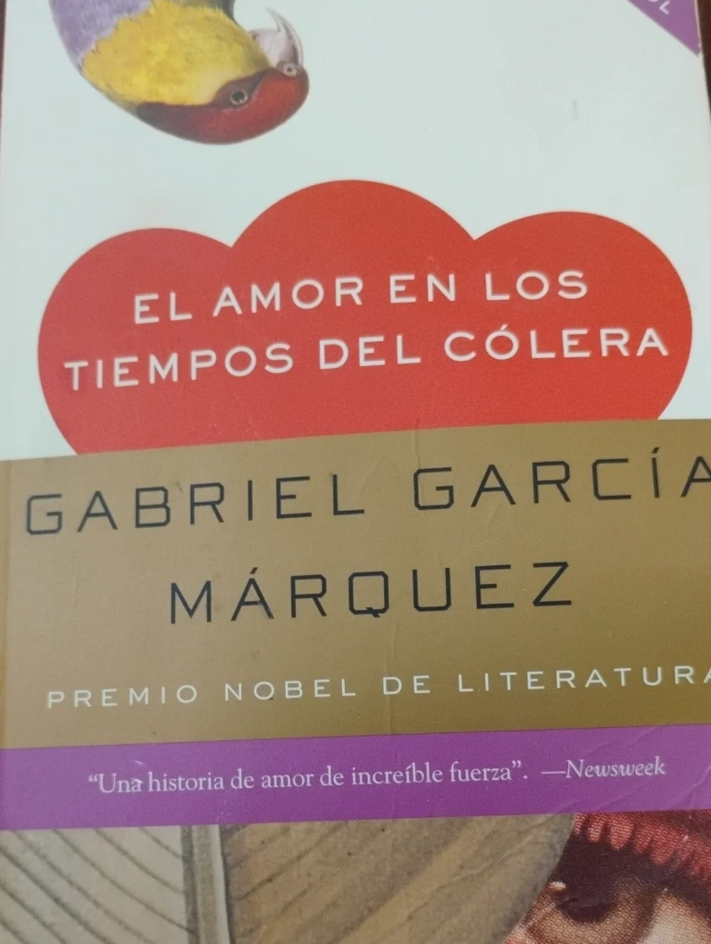 El Amor en los Tiempos del Cólera by Gabriel García Márquez - Red Accent Cover